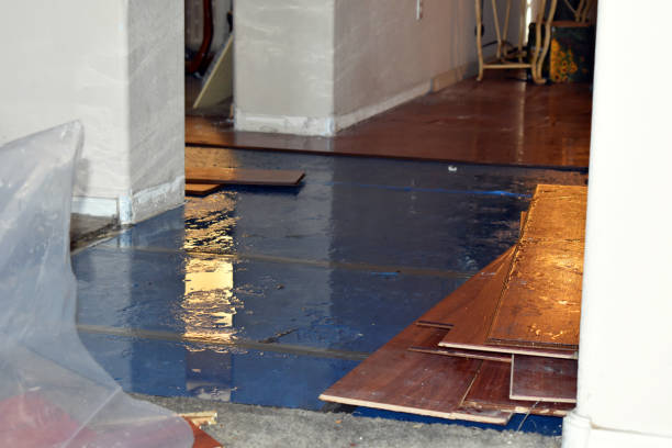 Professional Basement Flood Cleanup technician working in Pillsbury, ND
